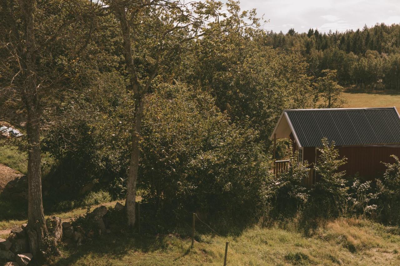 Toric Farmlodge 布拉斯泰德 外观 照片