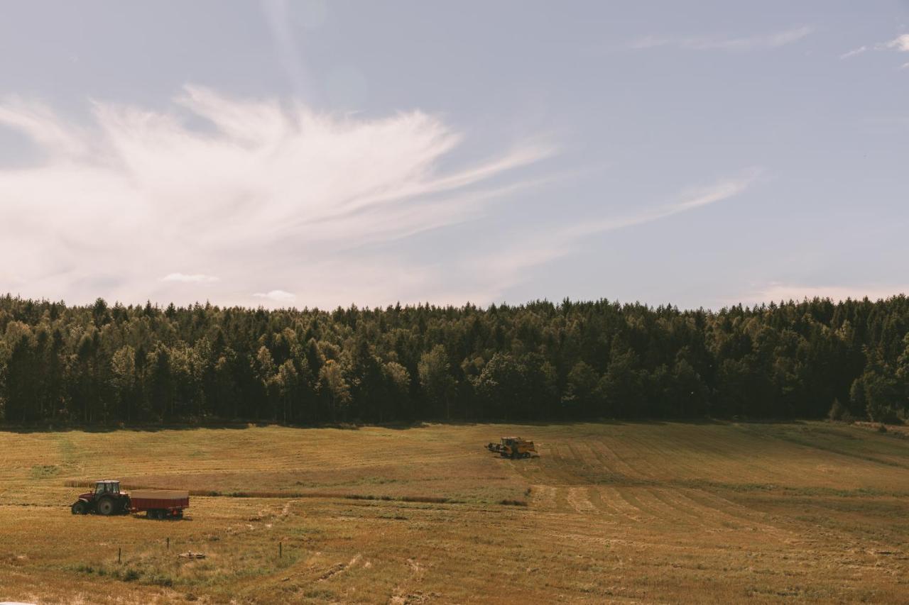 Toric Farmlodge 布拉斯泰德 外观 照片